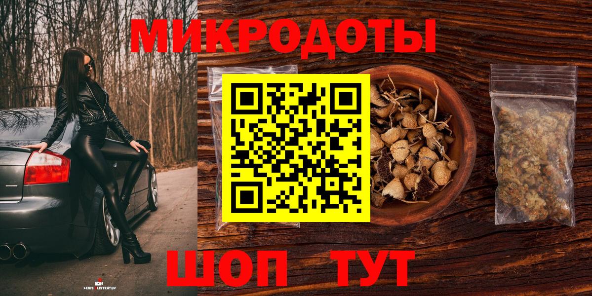 Псилоцибиновые грибы Psilocybe Слободской